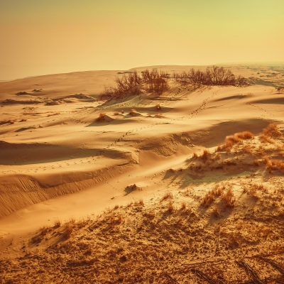 Экскурсия «Куршская коса — дорога в дюны»