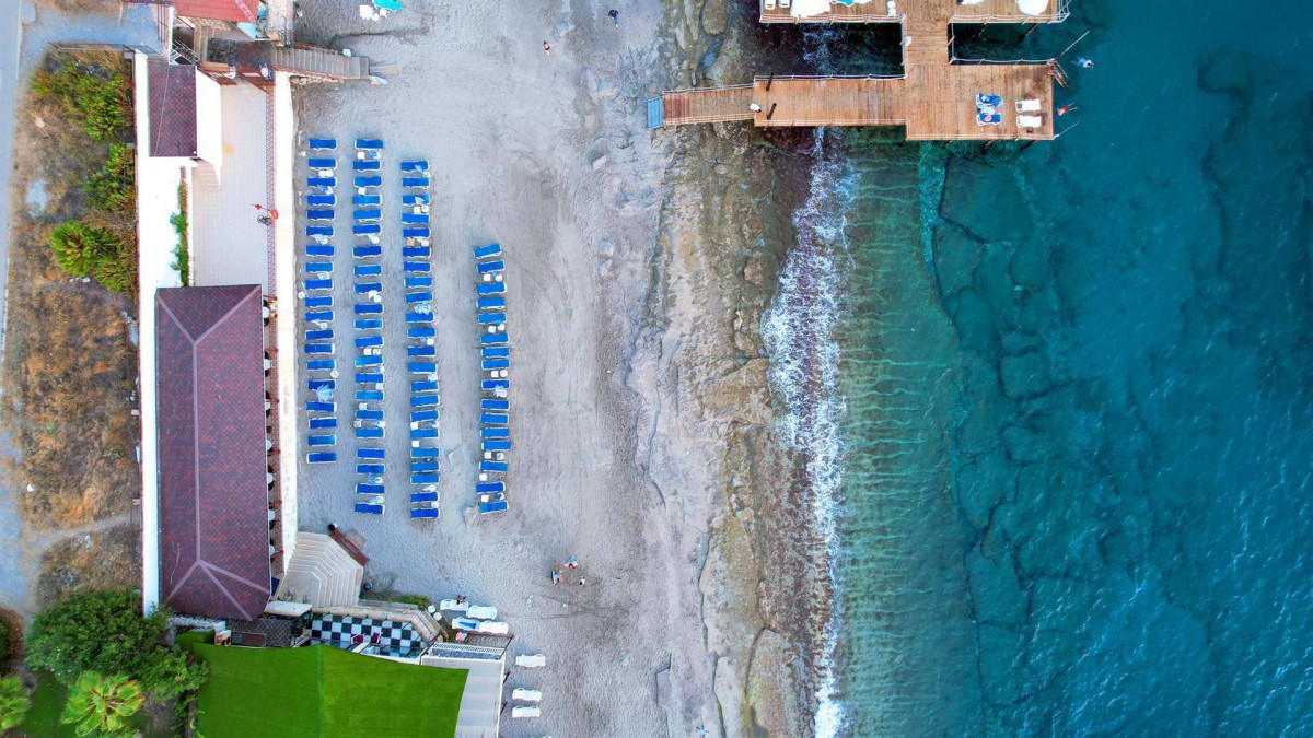 Blue Fish 4* миниатюра 6