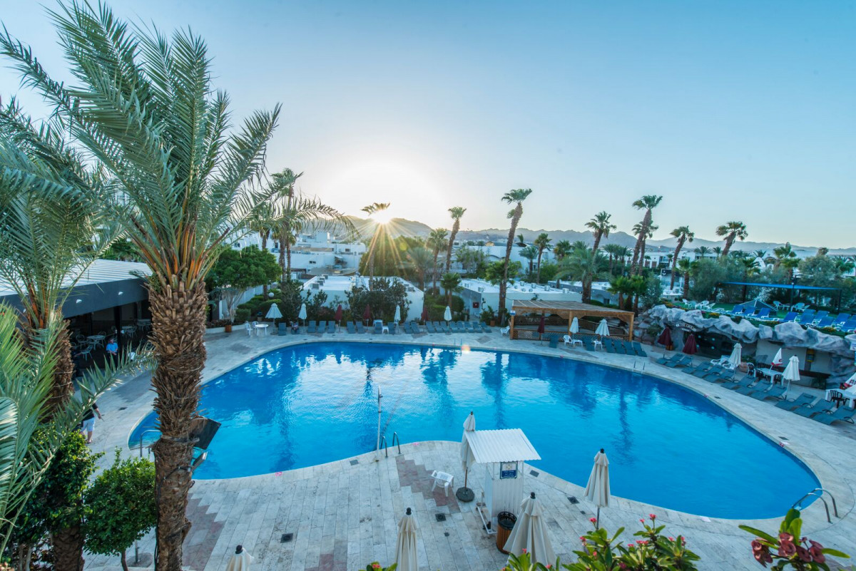 Americana 3* миниатюра 4