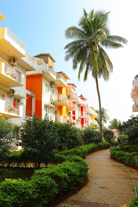 Village Royale 2* миниатюра 4