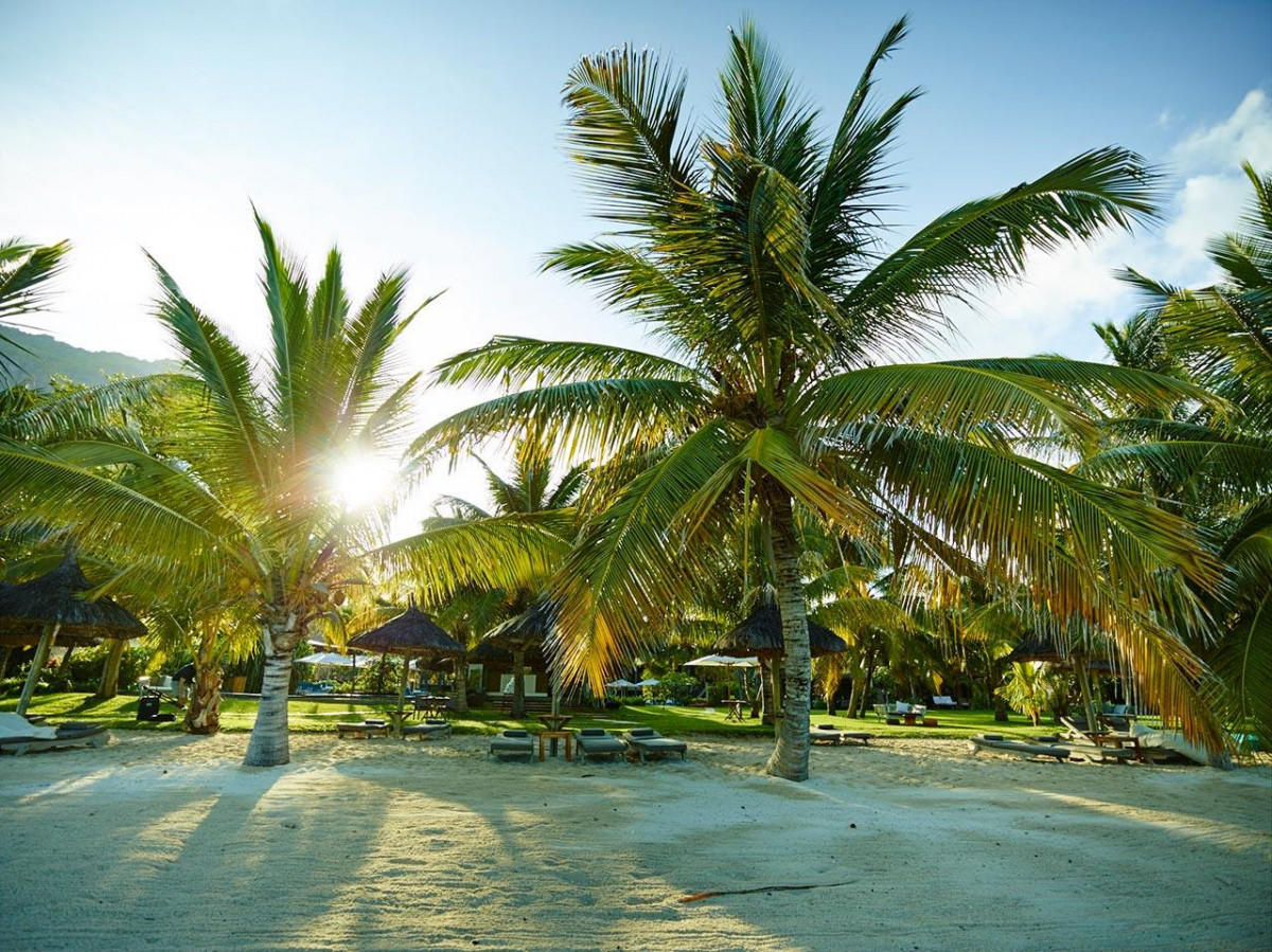 Lux Le Morne 5* миниатюра 5