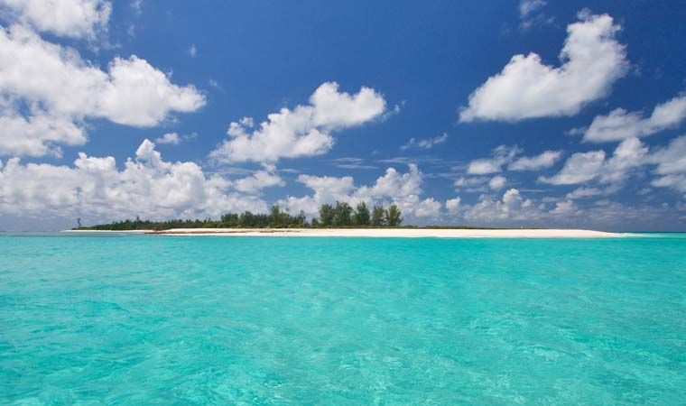 Bird Island Lodge 3* миниатюра 6