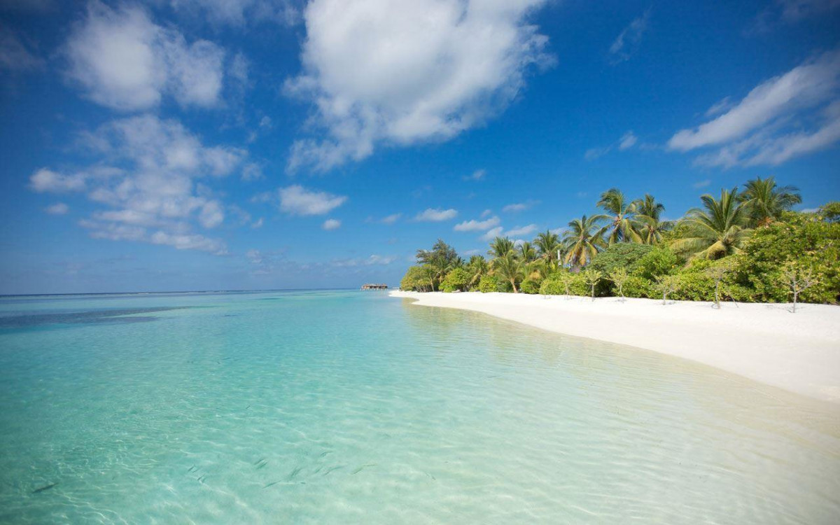 Lux* South Ari Atoll Resorts & Villas 5* миниатюра 5