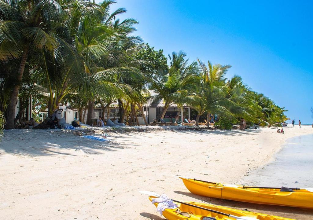 Stone Beach Club Dhiffushi 2* миниатюра 5