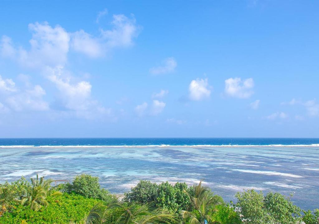 Stone Beach Club Dhiffushi 2* миниатюра 6