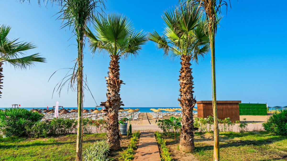 Sy Hotels Belek 5* миниатюра 5