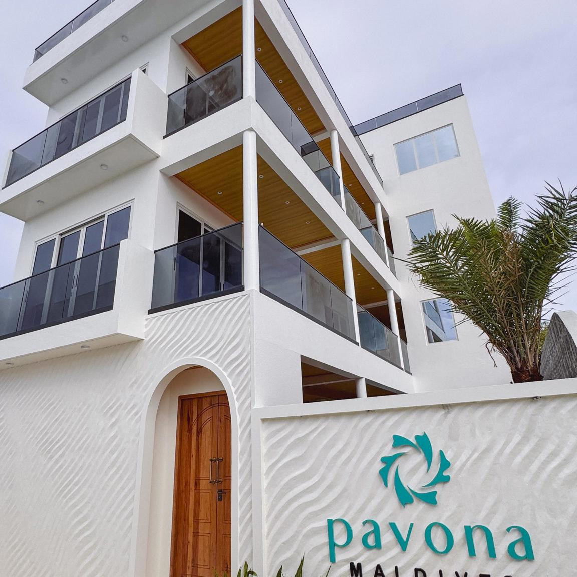 Pavona Maldives миниатюра 2