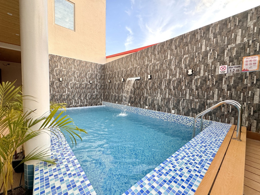 Pavona Maldives миниатюра 3