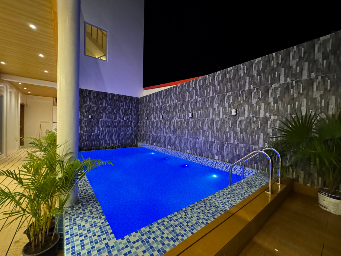 Pavona Maldives миниатюра 4