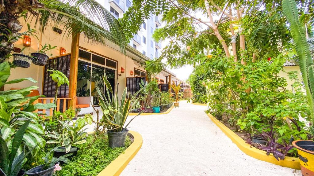Manta Dhangethi Guesthouse миниатюра 6