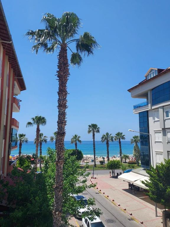 Kleopatra Sahara Hotel 3* миниатюра 6