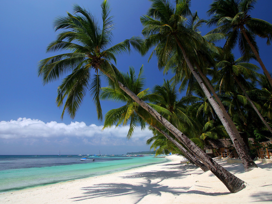 Calypso Beach And Dive Resort 3* миниатюра 3