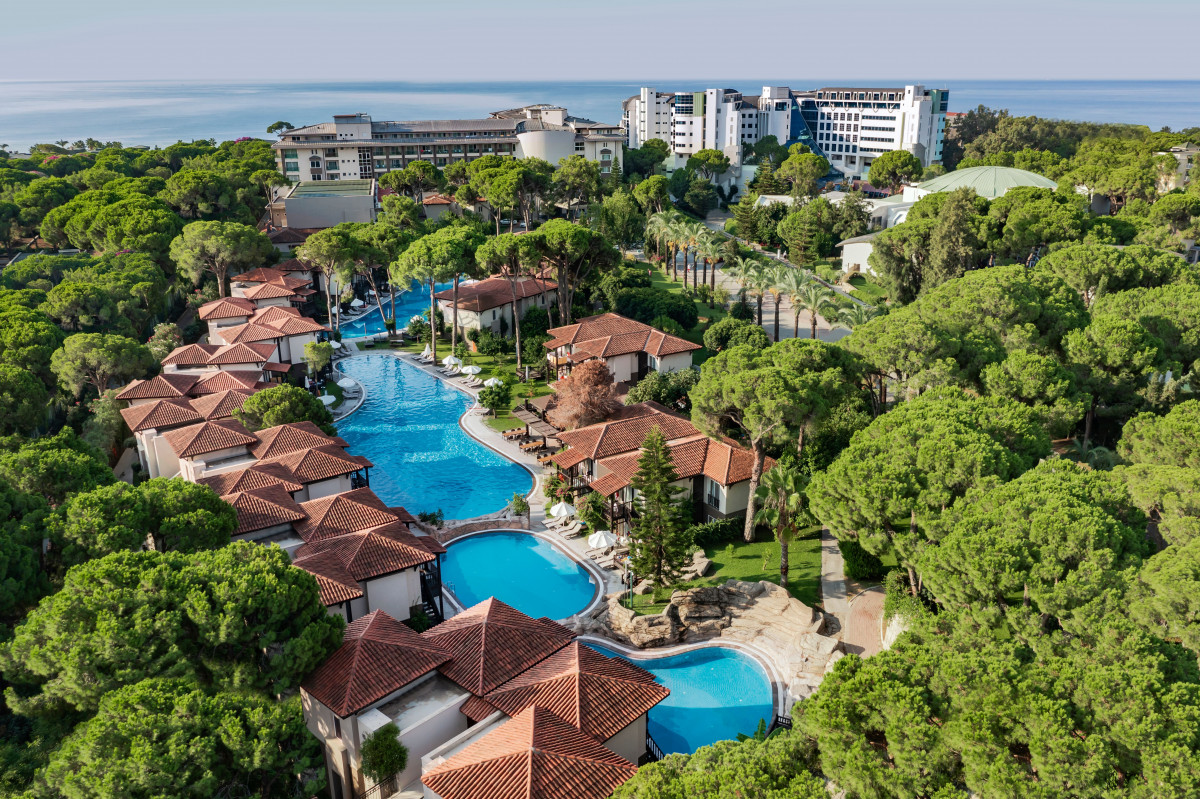 Papillon Ayscha 5* миниатюра 5