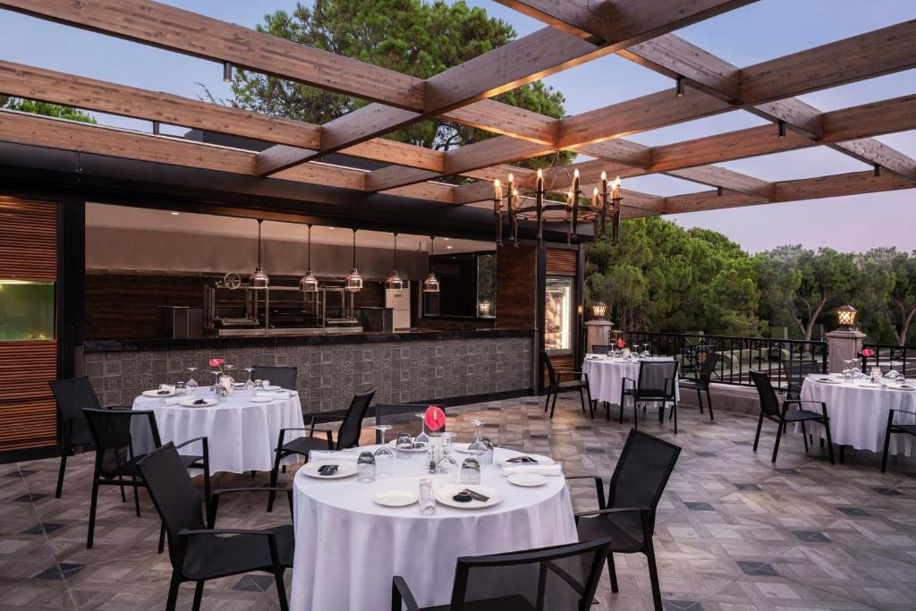 Papillon Ayscha 5* миниатюра 6