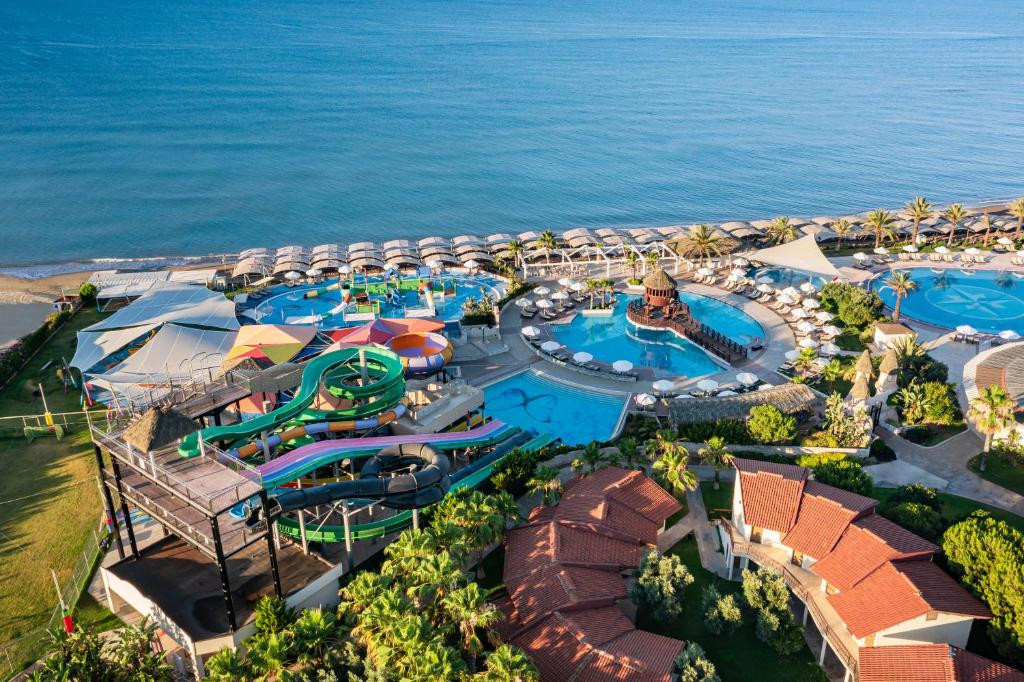 Papillon Belvil 5* миниатюра 2
