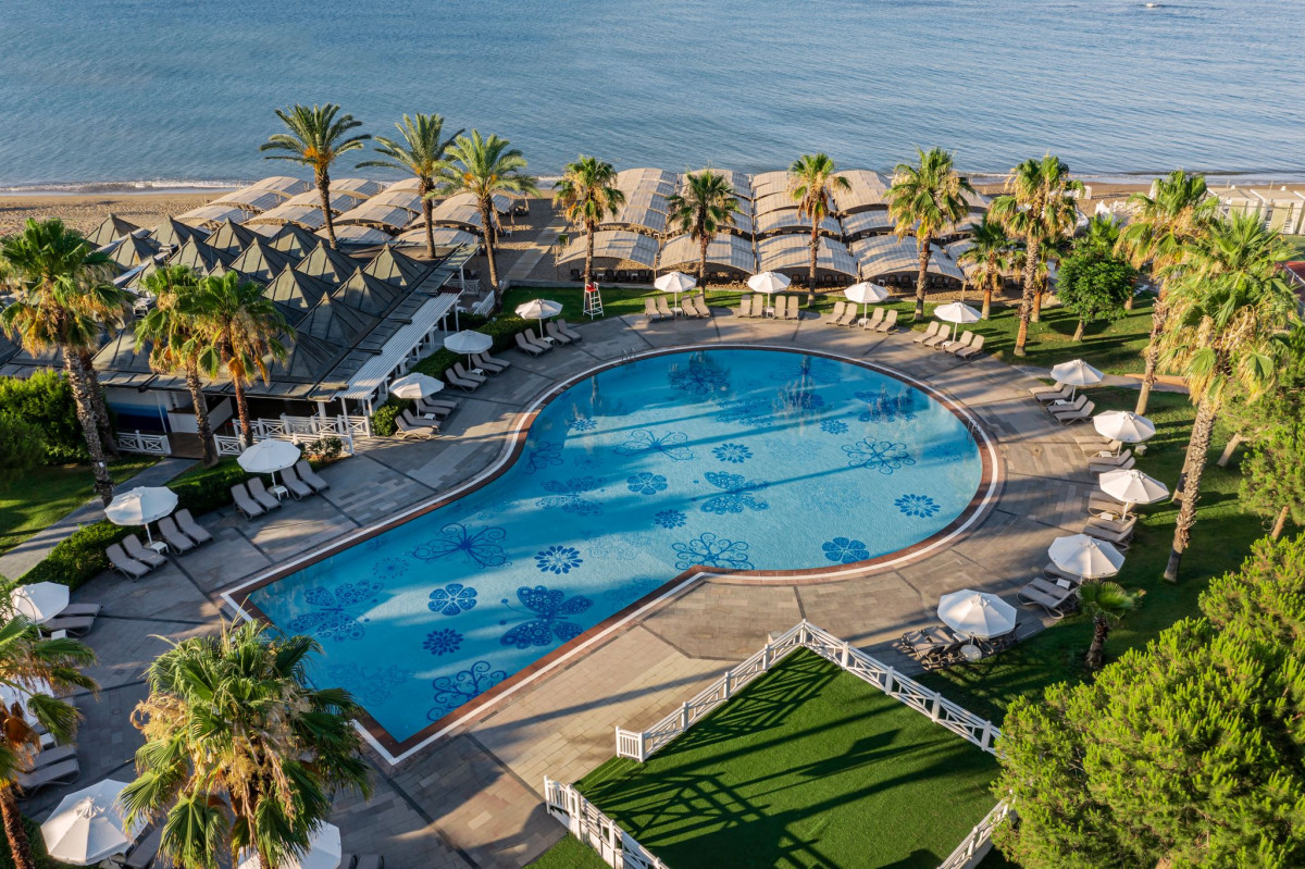 Papillon Belvil 5* миниатюра 5