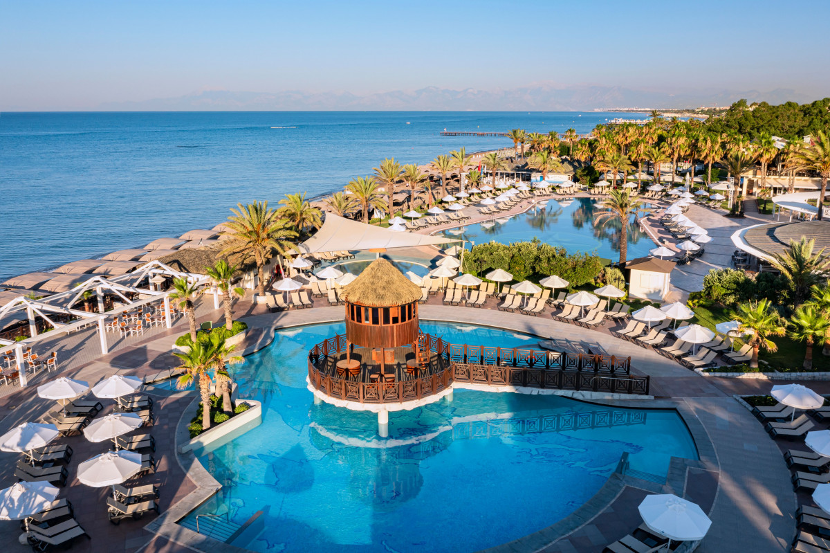 Papillon Belvil 5* миниатюра 6