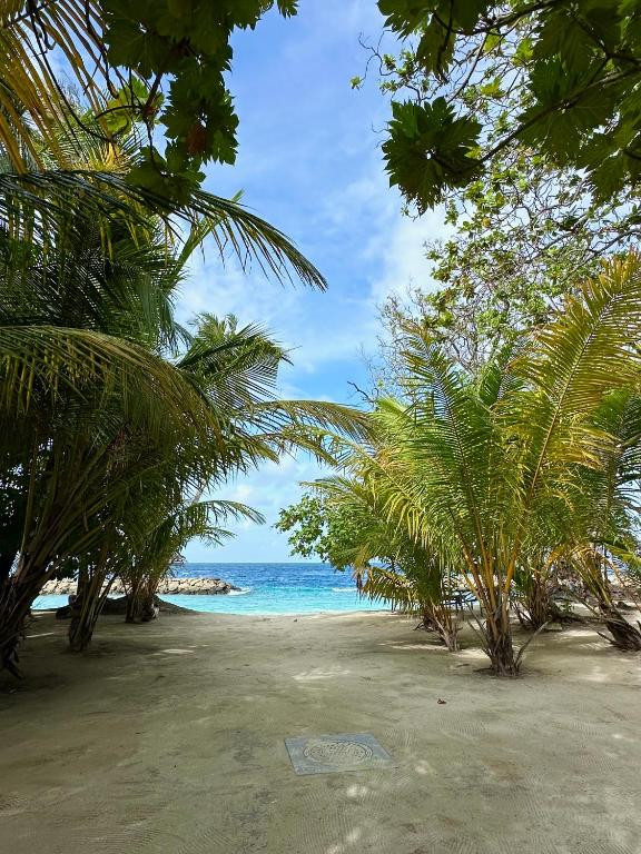 Dhoani Maldives Boutique миниатюра 5