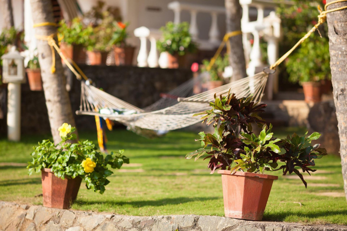 Bethsaida Hermitage 4* миниатюра 6