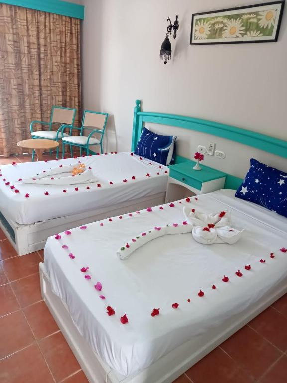 New Badawia Sharm Resort 3* миниатюра 6