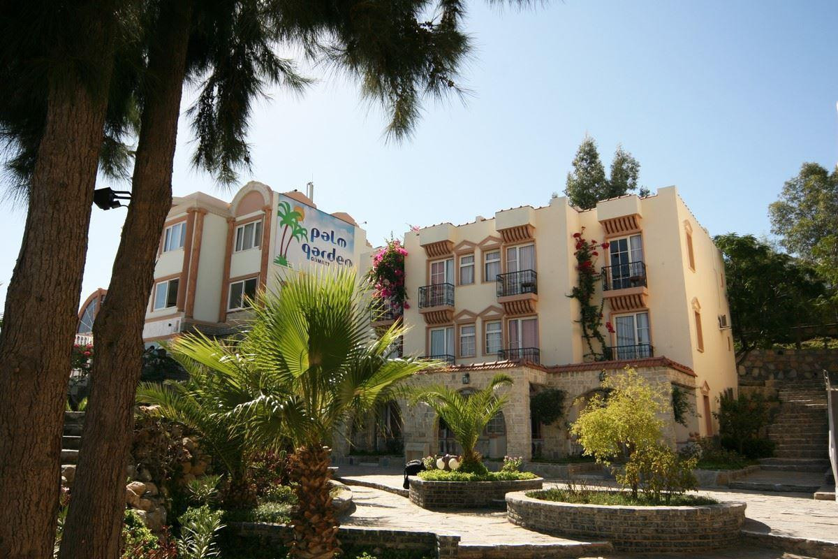Phoenix Sun (Ex. Palm Garden Hotel) 4* миниатюра 6