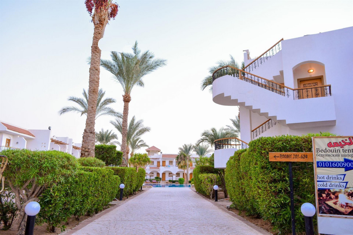 Dive Inn Resort 4* миниатюра 5