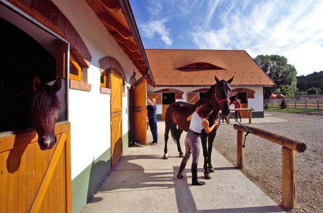 Club Dobogomajor 3* миниатюра 4