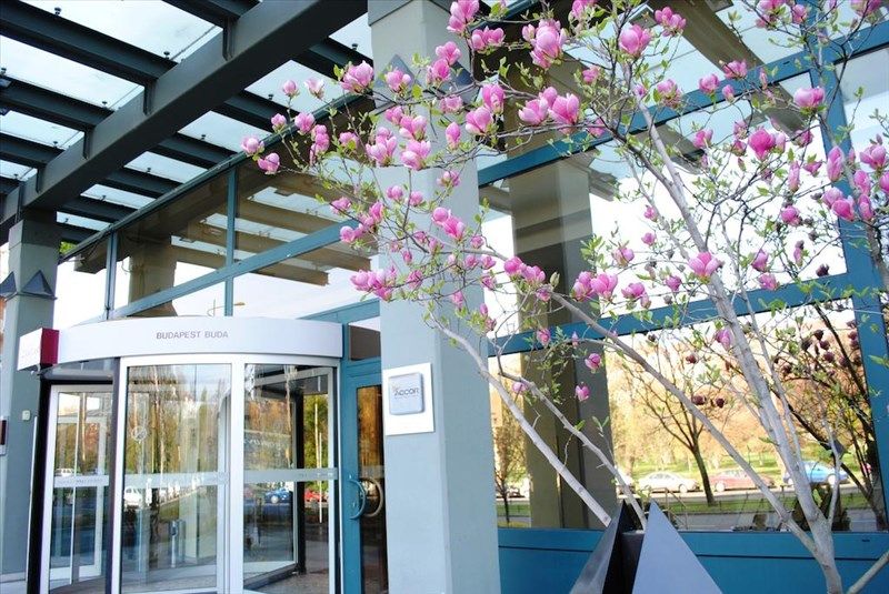 Mercure Budapest Castle Hill 4* миниатюра 3