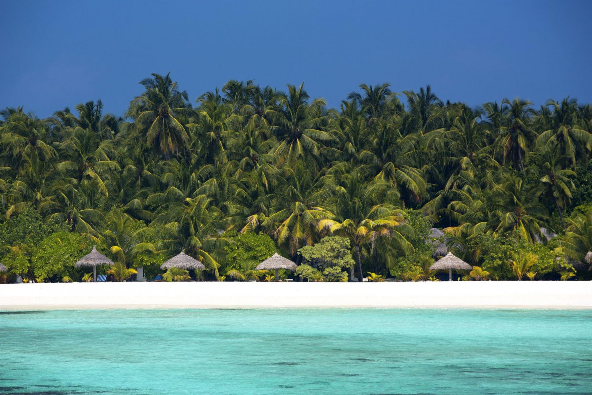 Filitheyo Island Resort 4* миниатюра 4