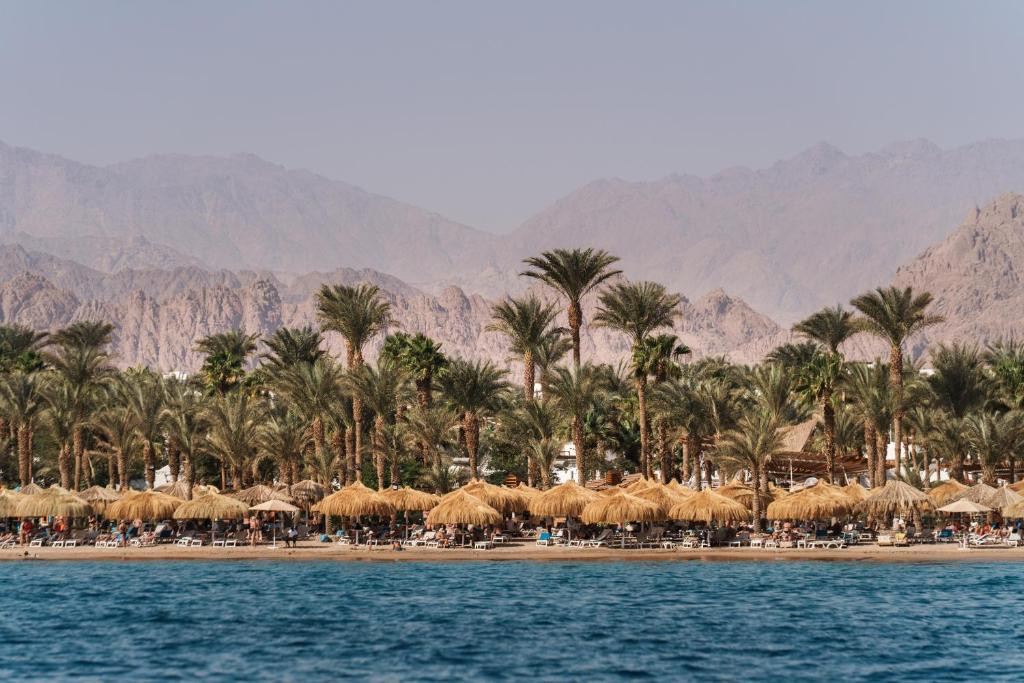 Jaz Fayrouz Resort (Ex. Hilton Sharm Fayrouz Resort) 4* миниатюра 3