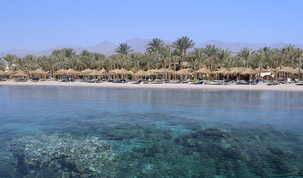 Jaz Fayrouz Resort (Ex. Hilton Sharm Fayrouz Resort) 4* миниатюра 6