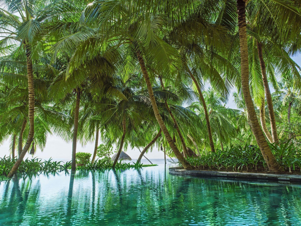 One & Only Reethi Rah 5* миниатюра 6