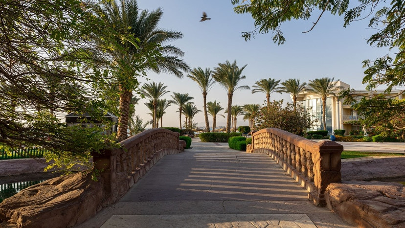 Palm Royale Soma Bay (Ex. Sentido Palm Royale) 5* миниатюра 6
