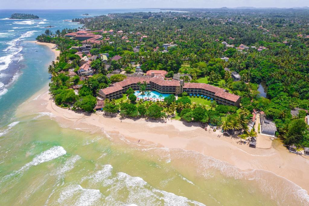 The Palms 4* миниатюра 3