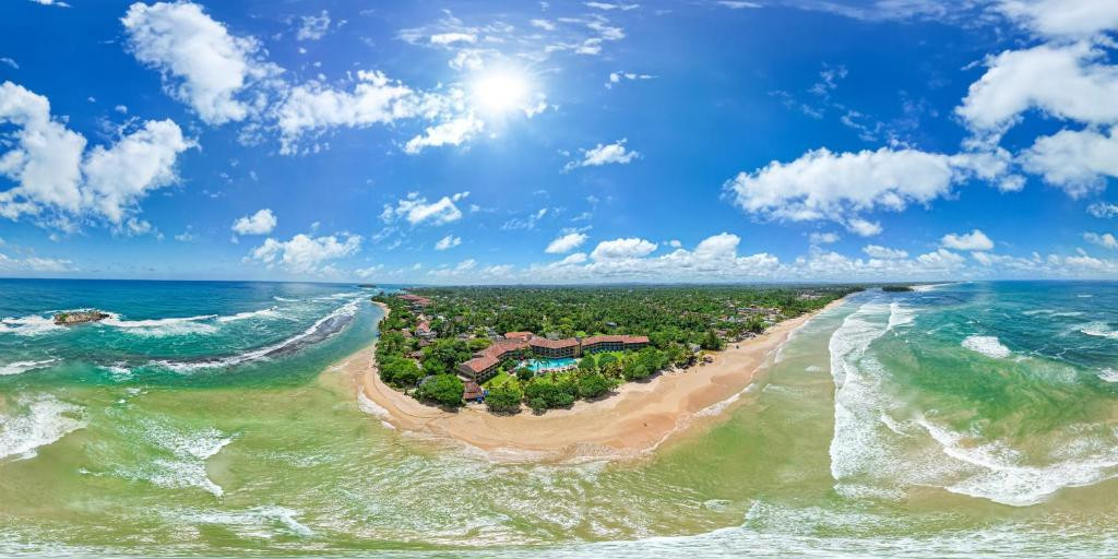 The Palms 4* миниатюра 5