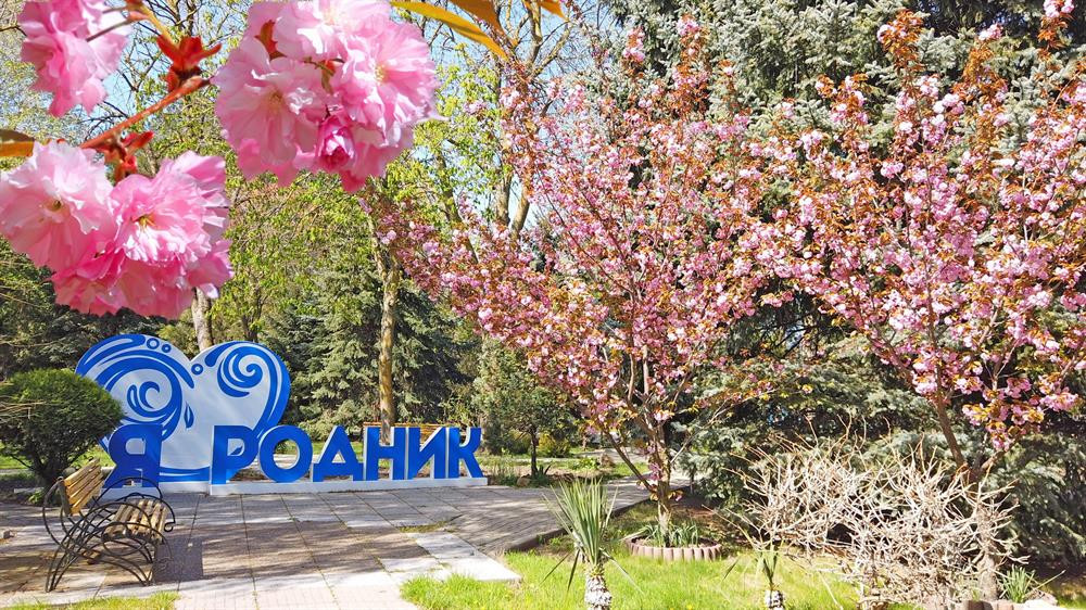 Родник 3* миниатюра 5