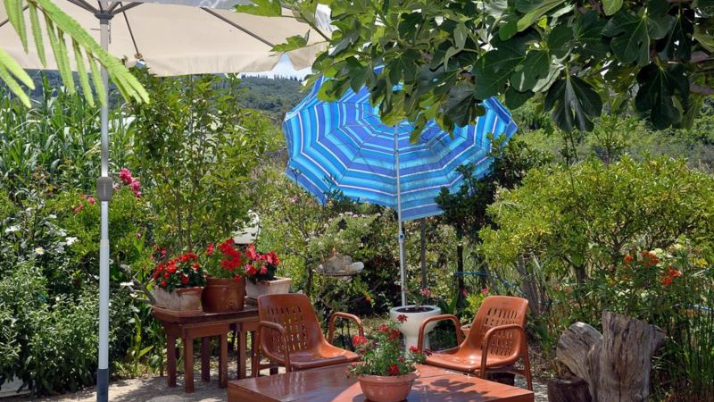 Feeloxenia Corfu (Ex. Harris Apartments) 3* миниатюра 5