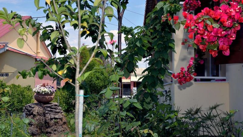 Feeloxenia Corfu (Ex. Harris Apartments) 3* миниатюра 6