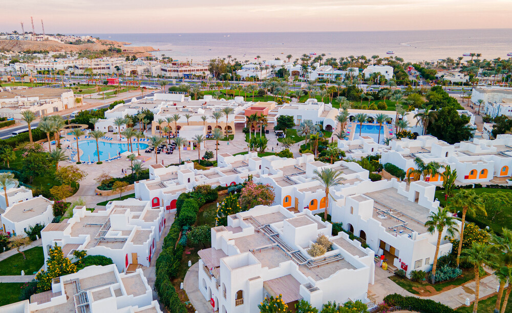 Novotel Palm 5* миниатюра 2