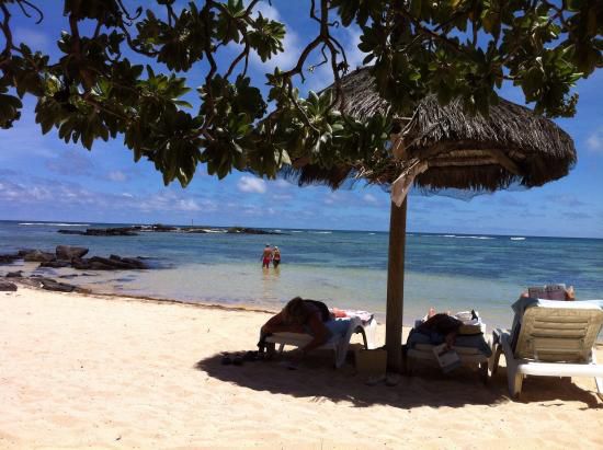 Hibiscus Beach Resort & Spa 3* миниатюра 5
