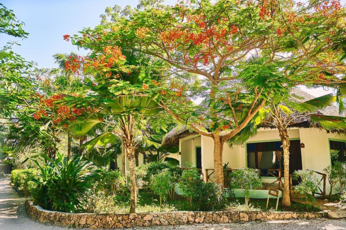 Spice Island 4* миниатюра 5