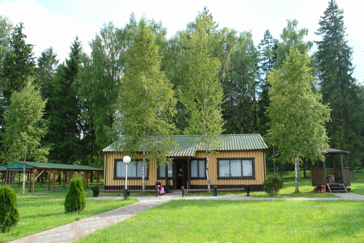 Лесное 4* миниатюра 6