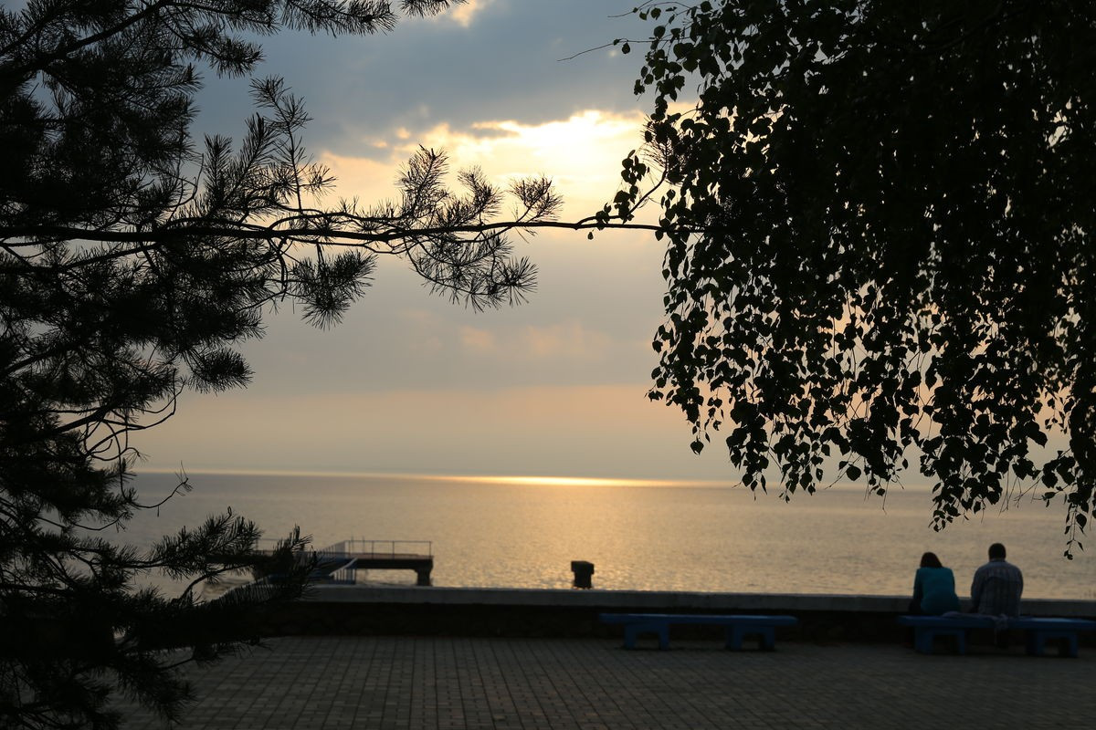 Сосны (Sosny) 4* миниатюра 6