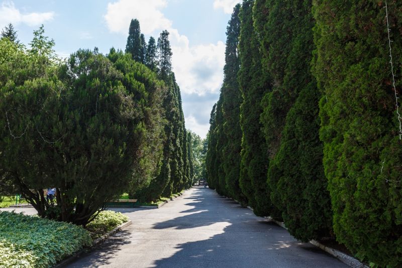 Центр-союз 3* миниатюра 5