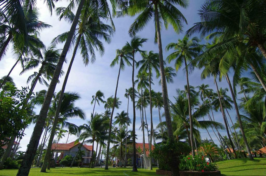 Muine De Century Beach Resort & Spa 4* миниатюра 6