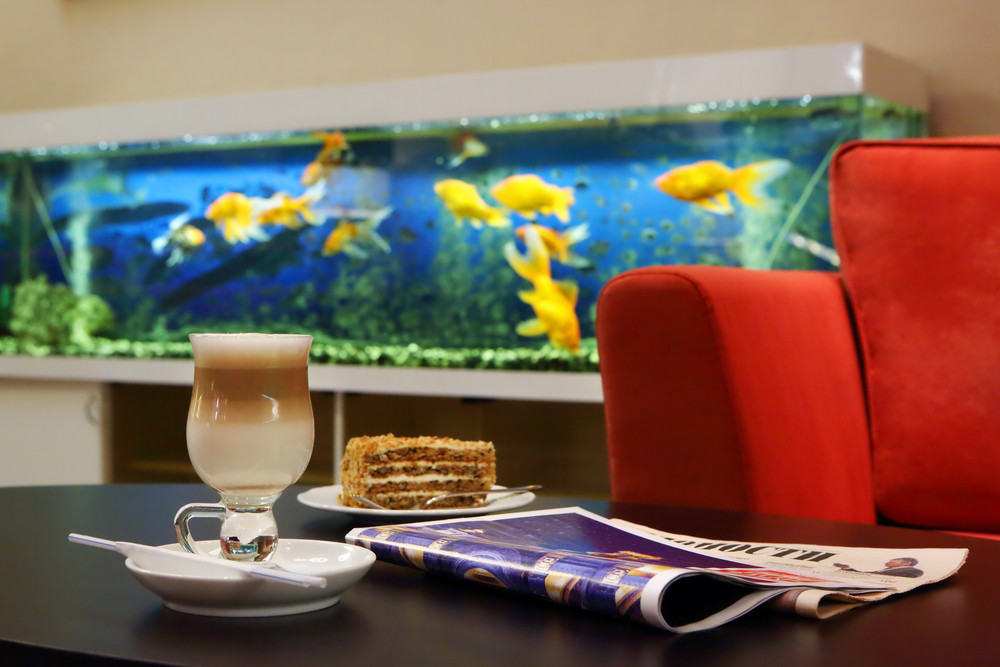 Парк Тауэр (Бывш. Молодежный) 4* миниатюра 5