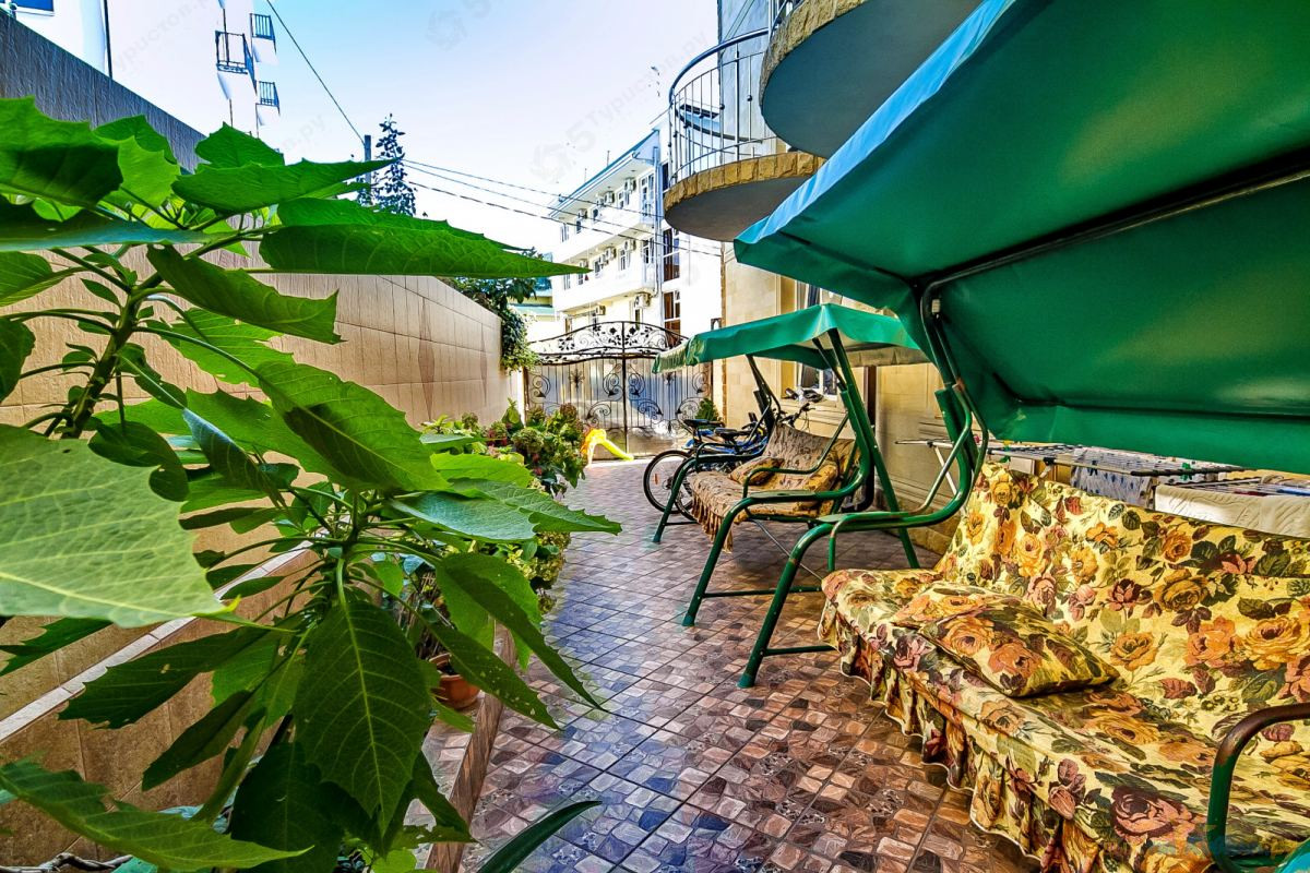 Эльмира миниатюра 3