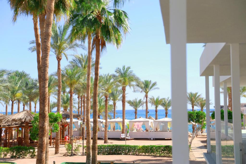 Seti Sharm Resort 4* миниатюра 2