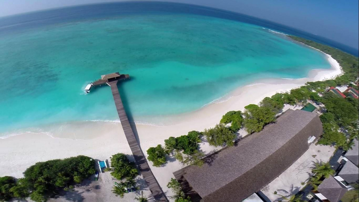 The Barefoot Eco 4* миниатюра 2