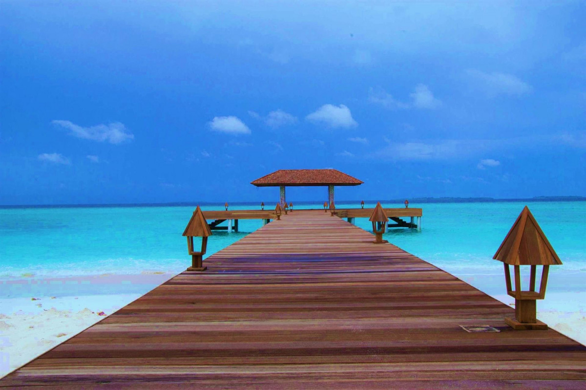 The Barefoot Eco 4* миниатюра 4